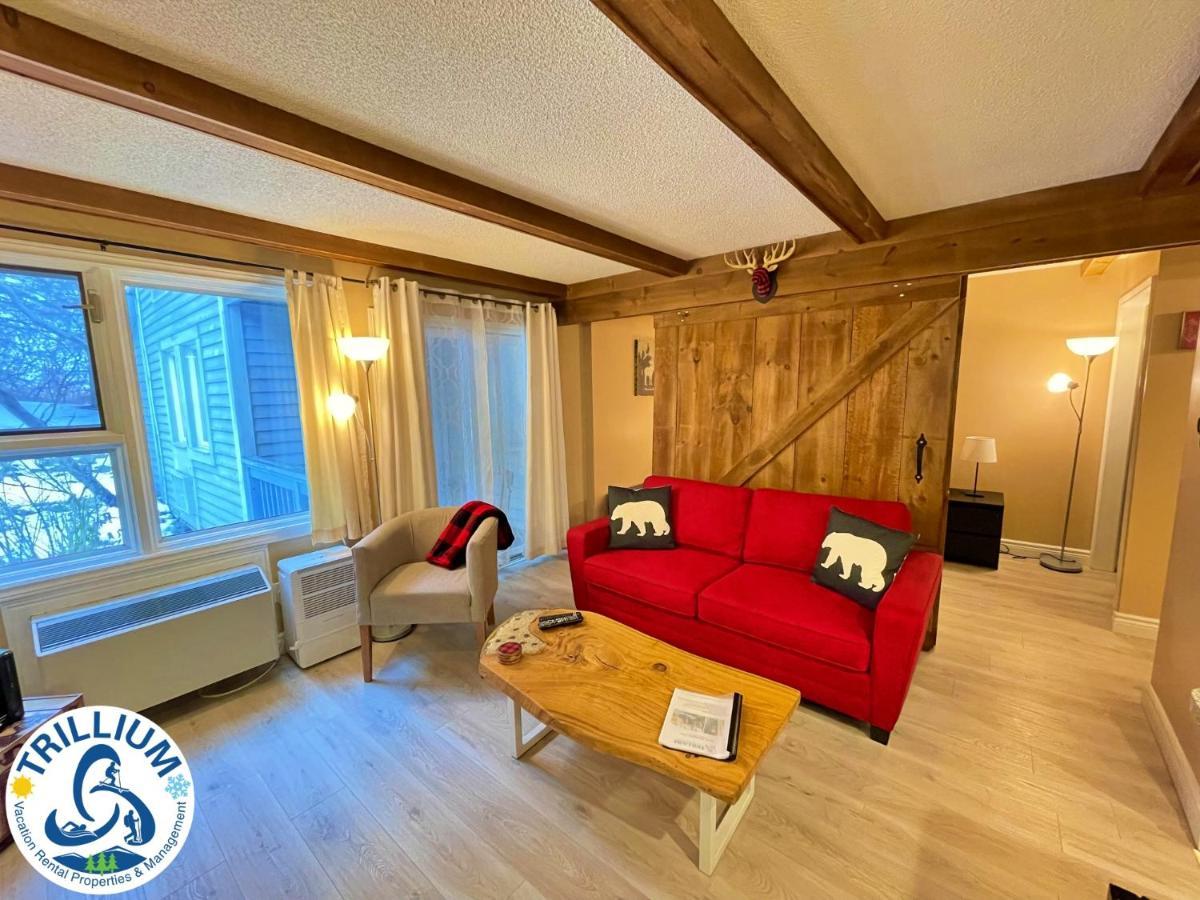 ההרים הכחולים Rustic Mountainside Chalet מראה חיצוני תמונה
