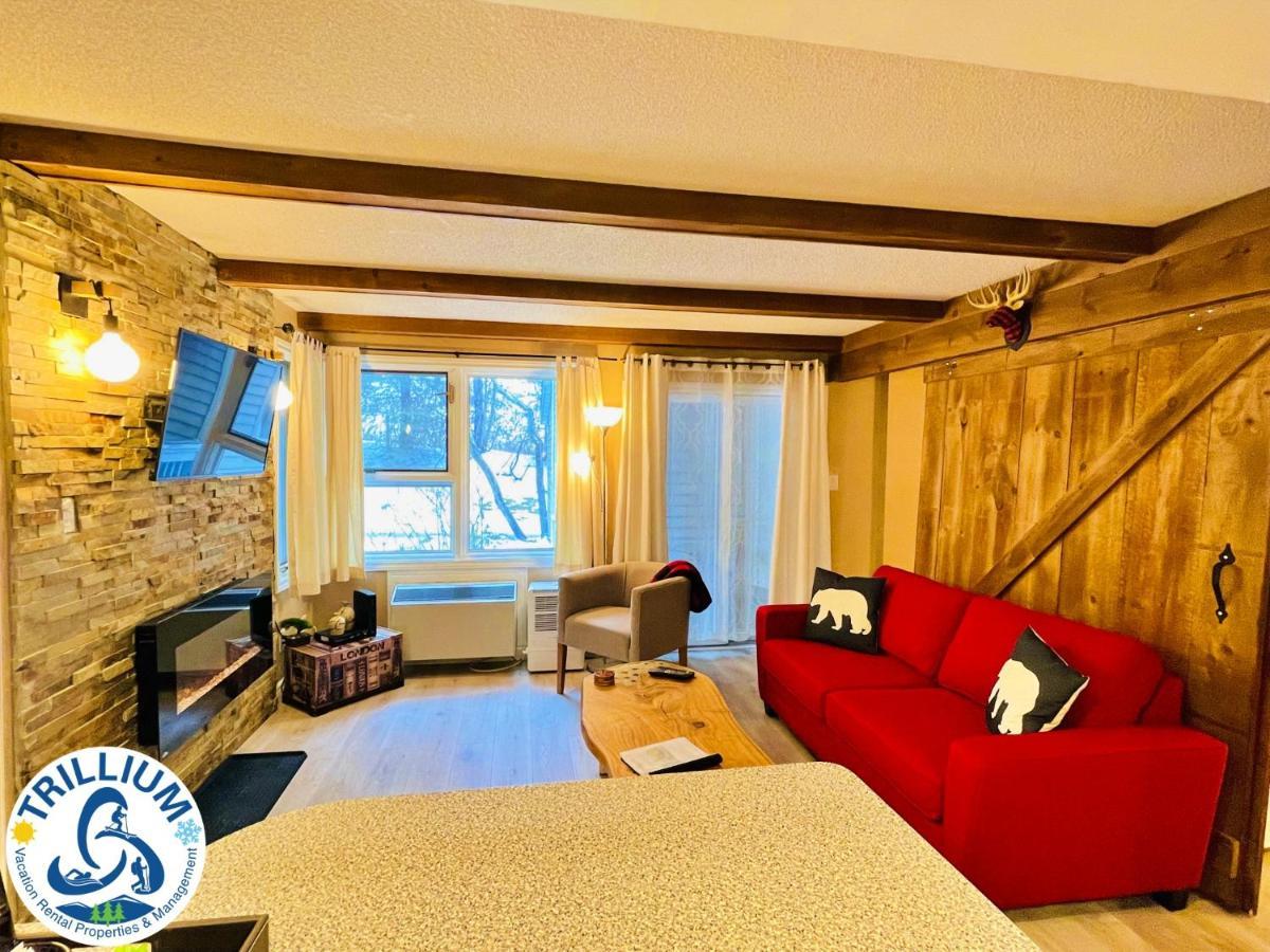ההרים הכחולים Rustic Mountainside Chalet מראה חיצוני תמונה